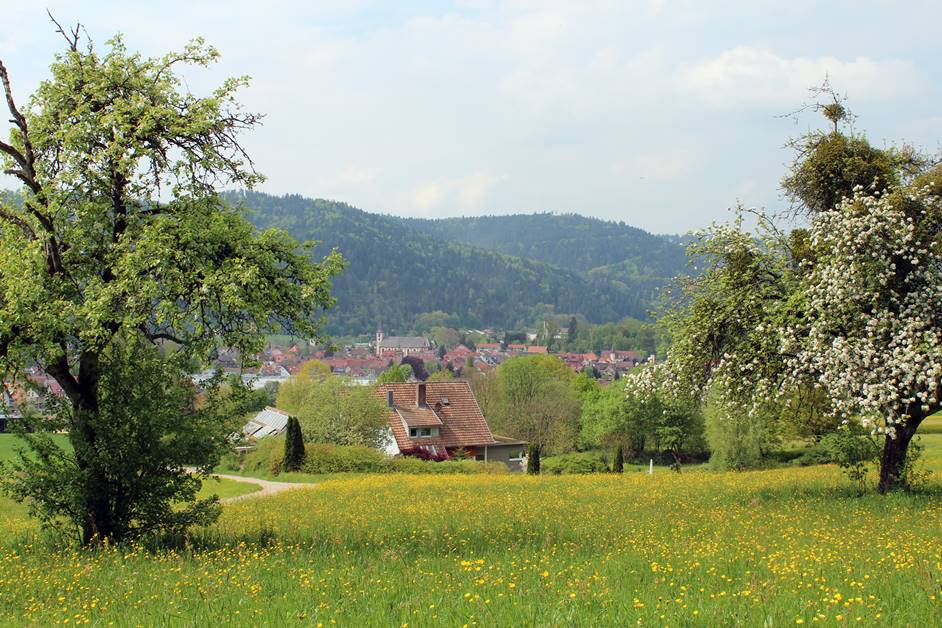 Panorama-Kneipp-Rundweg